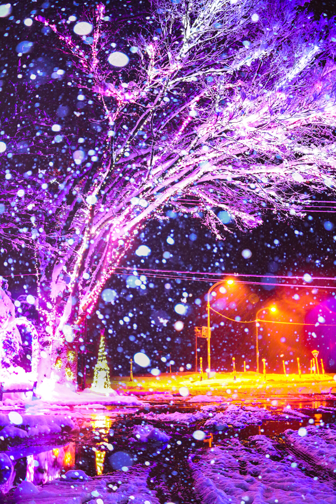 雪のイルミネーション