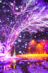 雪のイルミネーション