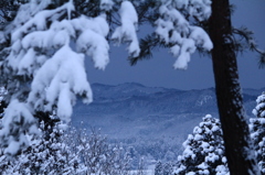 雪景色