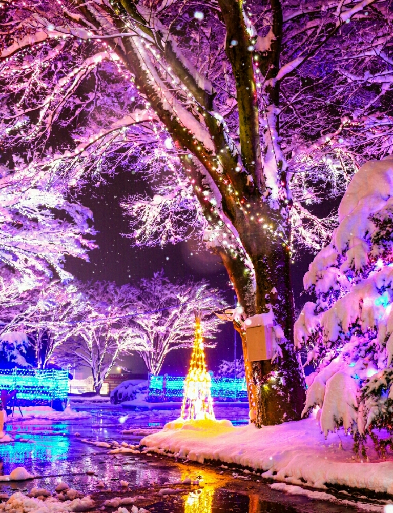 雪のイルミネーション