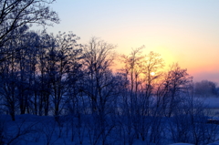 氷点下11℃の夜明け前の雪原②