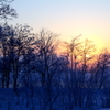 氷点下11℃の夜明け前の雪原②