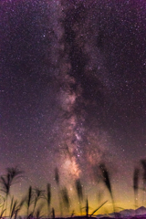 天の川と夜風に揺れるススキ