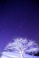 寒々しい夜