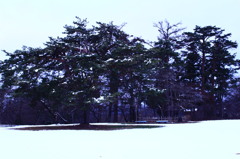 大森公園本丸