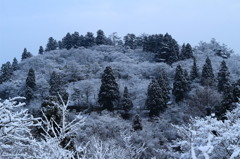 今朝の雪景色