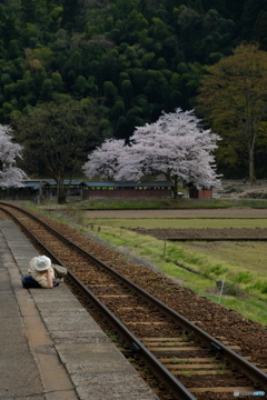 春眠暁を覚えず