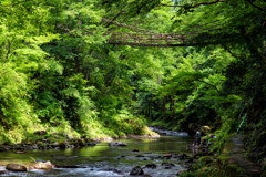 足羽川渓流