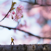 桜道を巡る　2