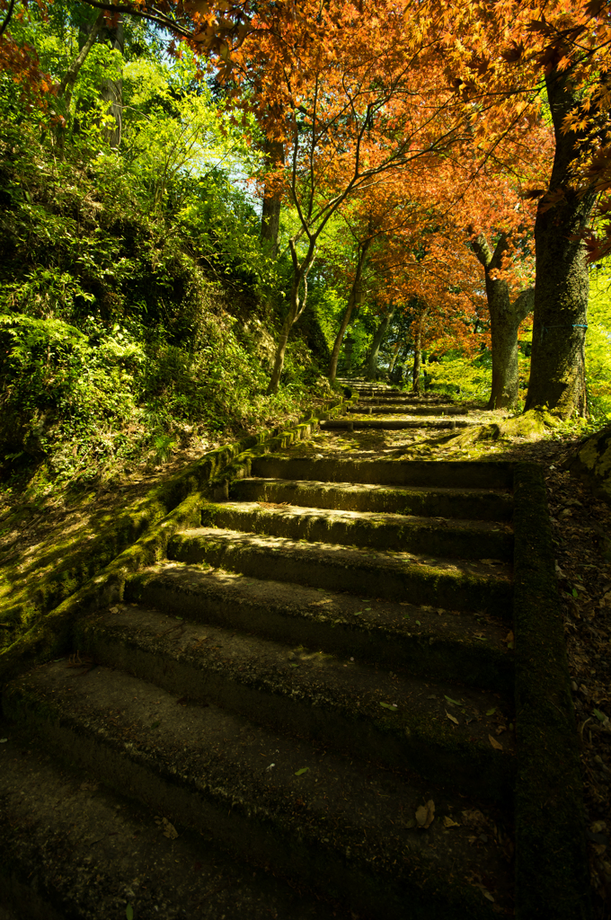 金毘羅神社へ