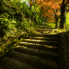 金毘羅神社へ