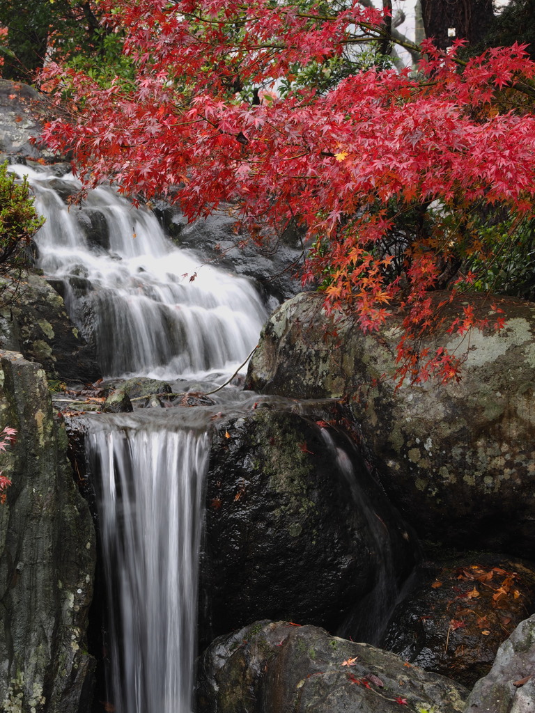 西山公園にて