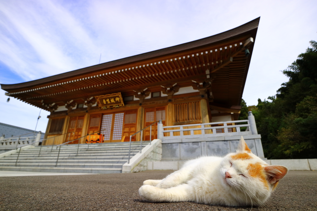 御誕生寺にて