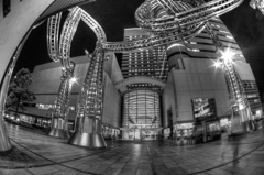 _DSC3853