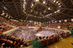 SUMO