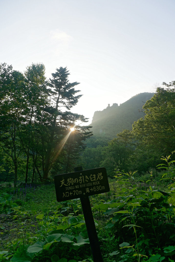山
