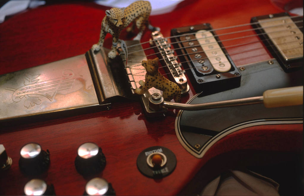 F５E100VSScan-guitar