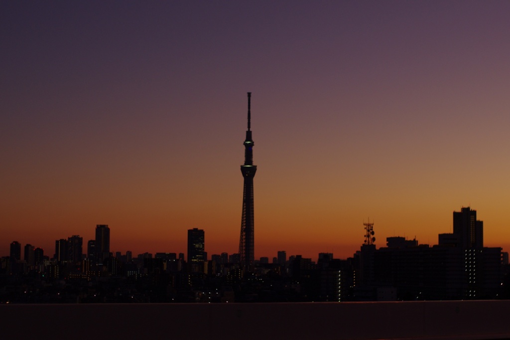 夕暮れ