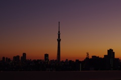夕暮れ