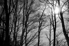 _DSC1095_DxO