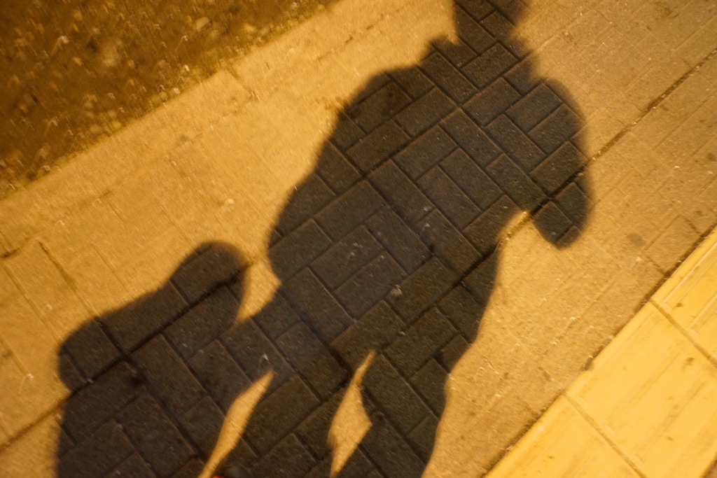 _DSC0042