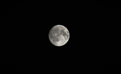 DSC_3430