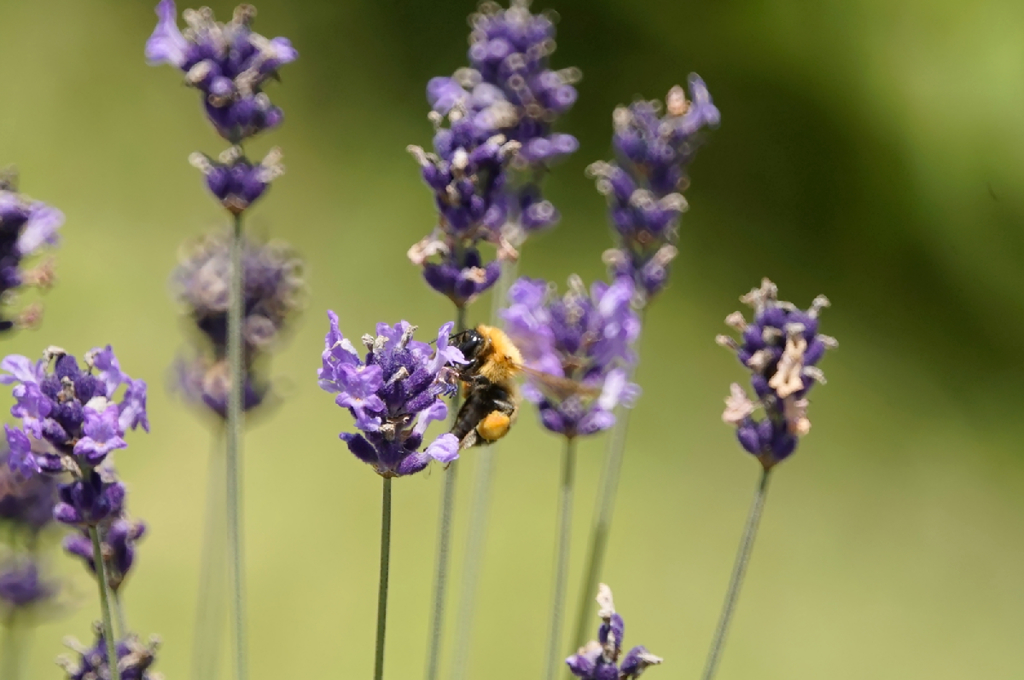 _DSC4781_DxO