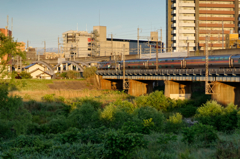 _DSC4349_DxO