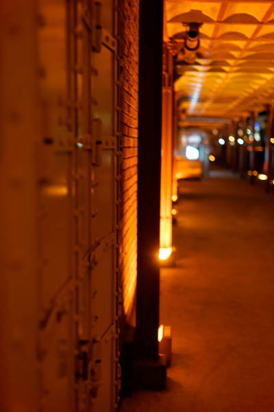 _DSC7973_DxO