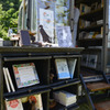 本屋