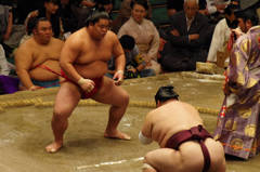 SUMO2