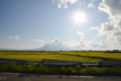 山　田んぼ