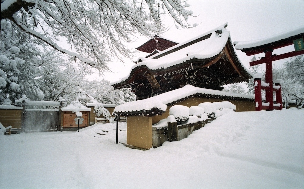 leica12gatuScan-121225-0009