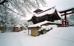 leica12gatuScan-121225-0009