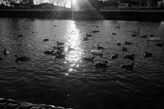 _DSC9864_DxO