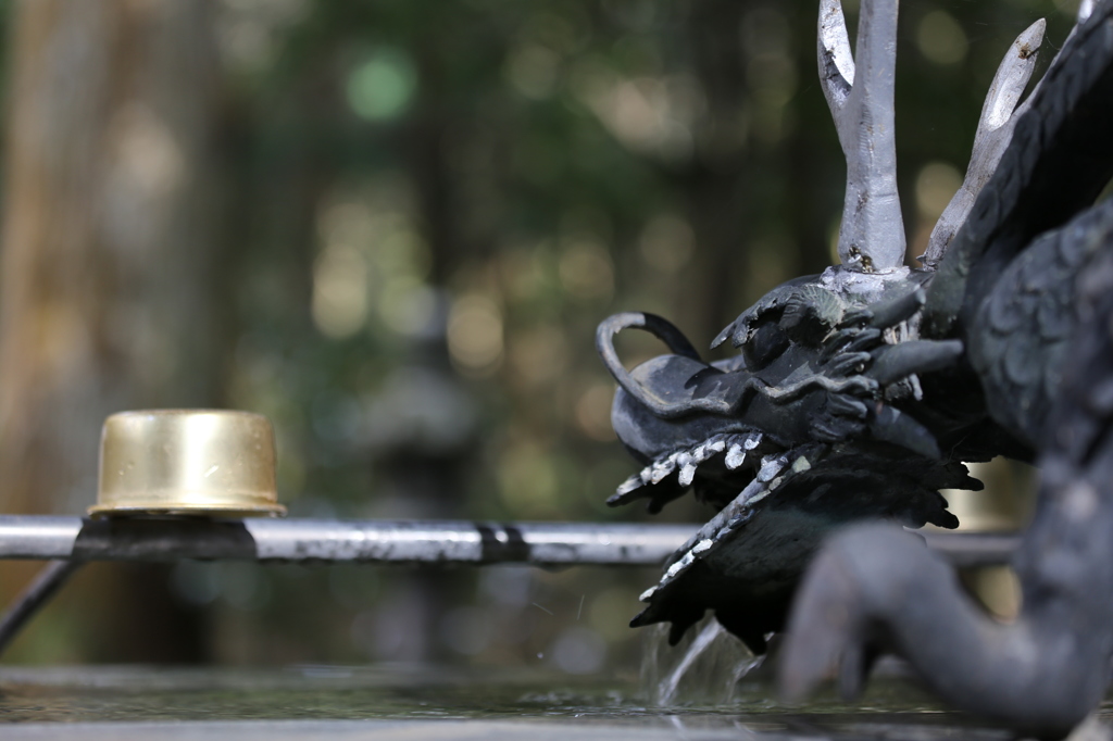 手水舎の竜　その2