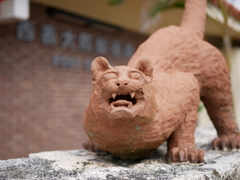 西表山猫