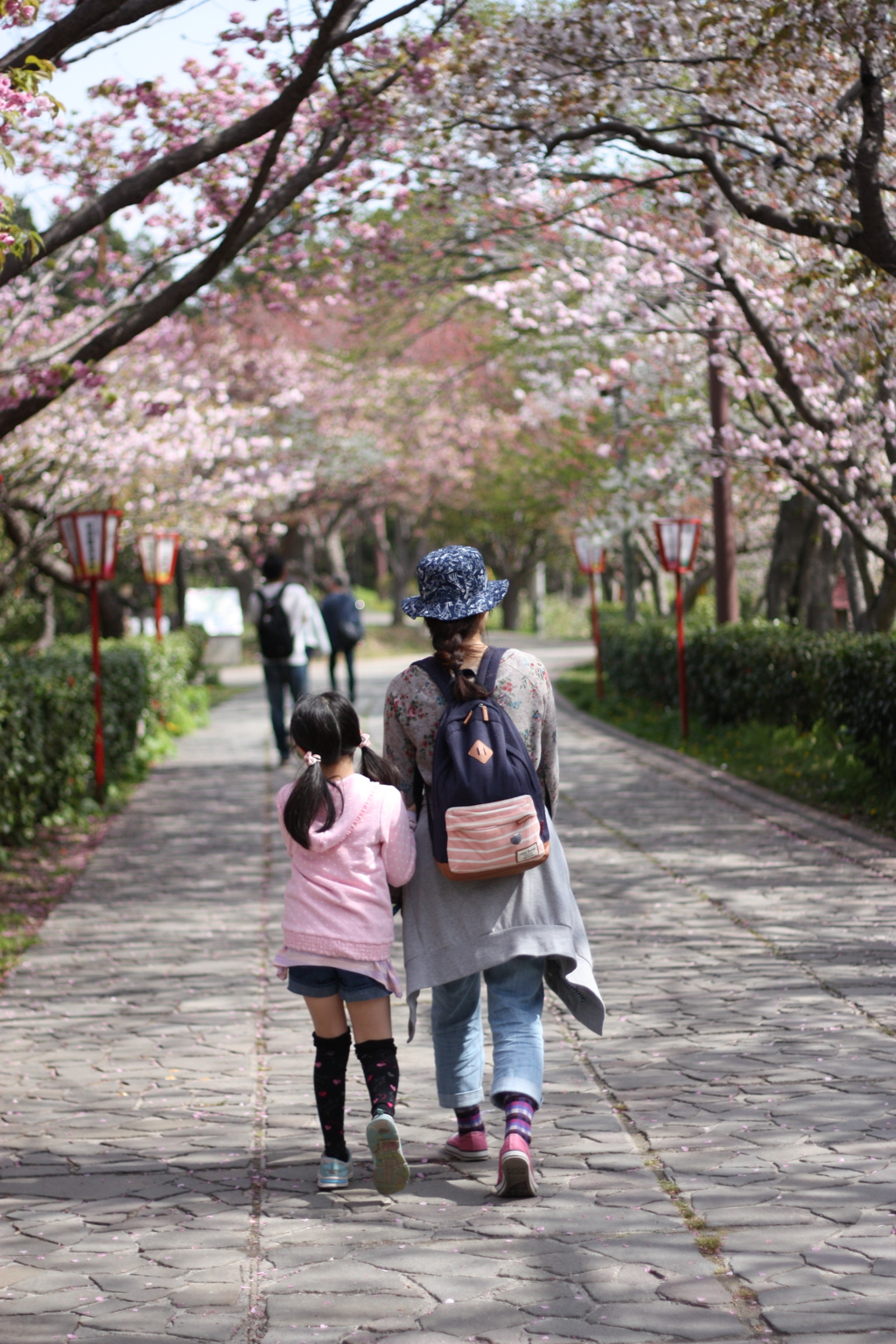 道南旅行　松前　桜