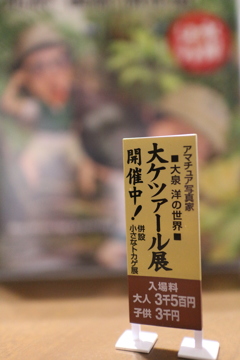 第２２弾