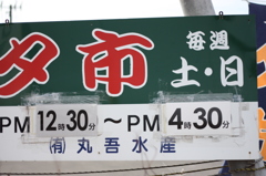 白老