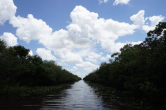 Everglades Cruise