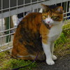 IMGP0735