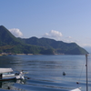 IMGP0908