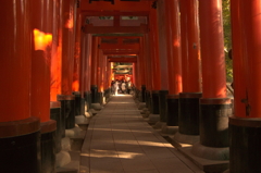 IMGP1230-1