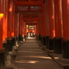 IMGP1230-1