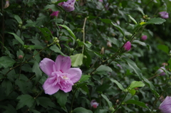 IMGP0397
