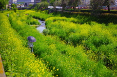 IMGP0739