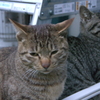 IMGP0102