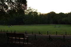 IMGP0186