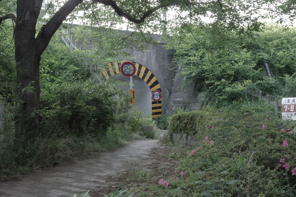 IMGP0135
